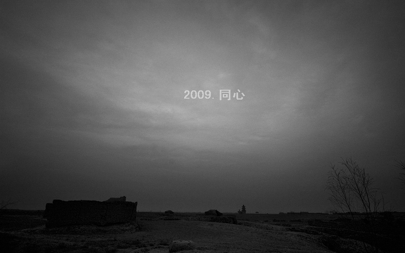 2009.同心 摄影 自游自在