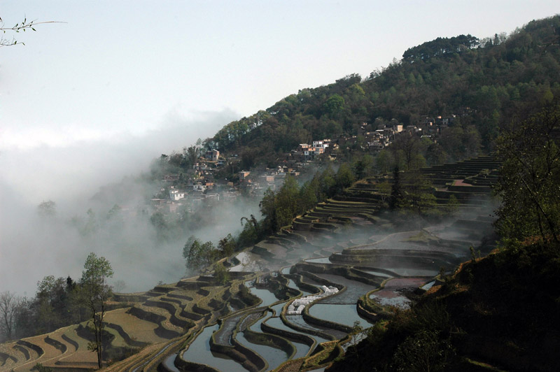 龙树坝梯田.白云深处是家园 摄影 岳阳老陈