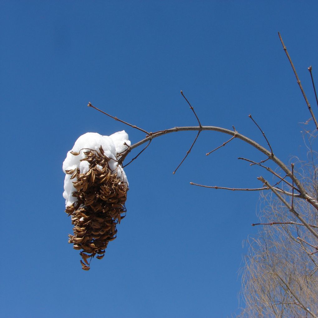 雪做的被 摄影 华妍