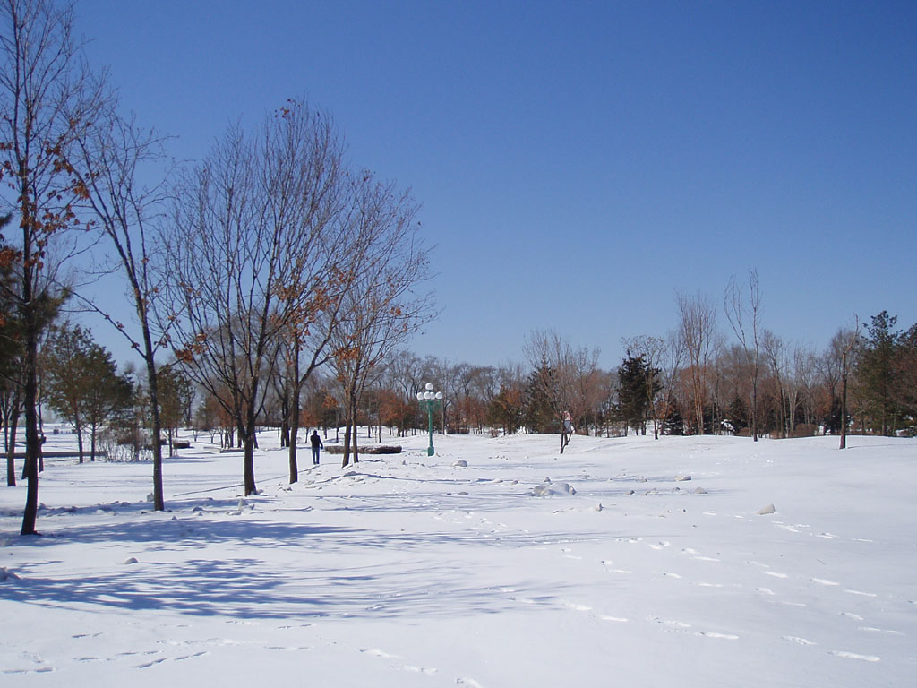 踏雪 摄影 艾啦