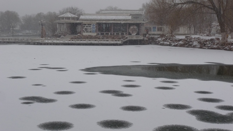 春雪 摄影 天机