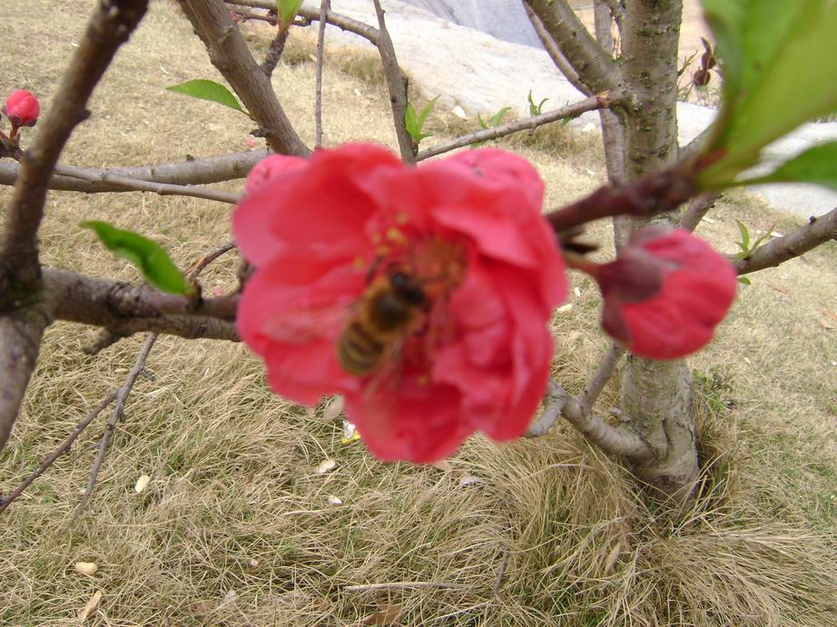 采 摄影 沉兄
