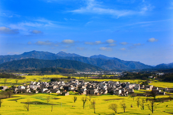 春到芦村 摄影 快门快乐