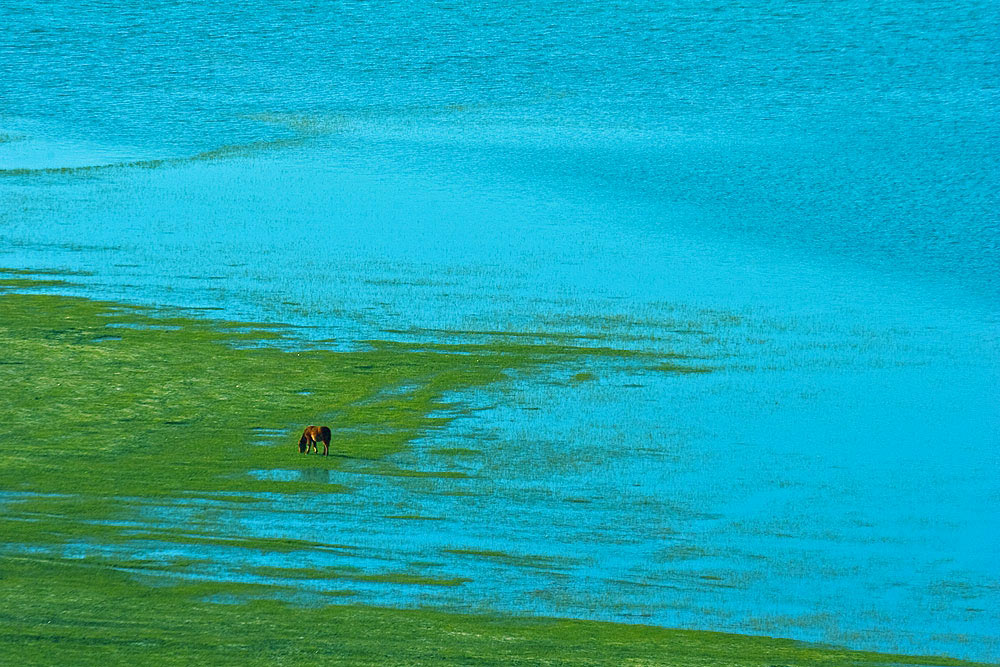 纳帕海晨光 摄影 adali