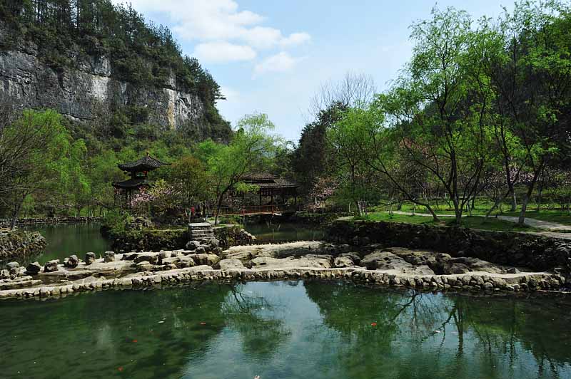 酉阳桃花园 摄影 耕耘人