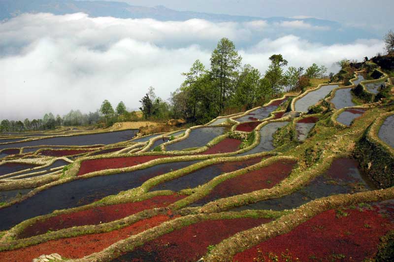 龙树坝梯田.白云深处是田园 摄影 岳阳老陈