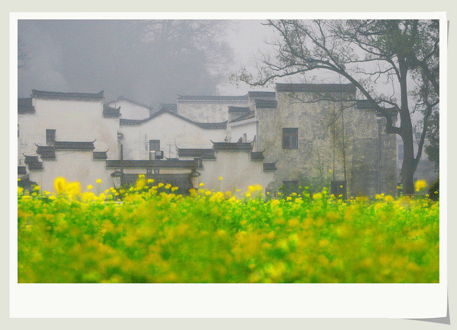 婺源印象（4）——烟雨小村 摄影 我心依旧