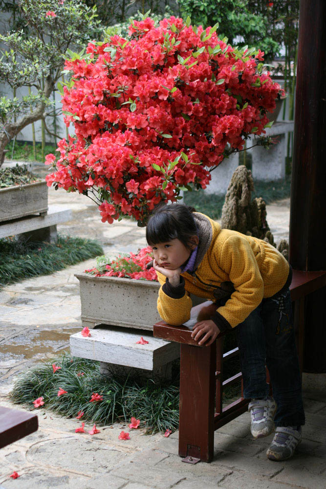 花儿为什么这样红？ 摄影 漓江通