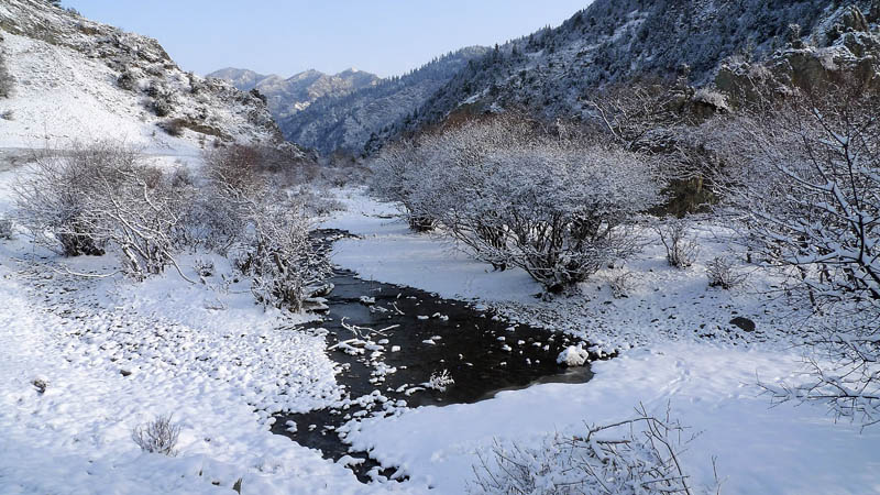 雪景 摄影 怡染