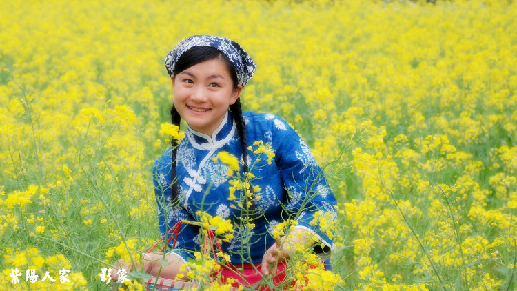 黄花小妹 摄影 紫阳人家