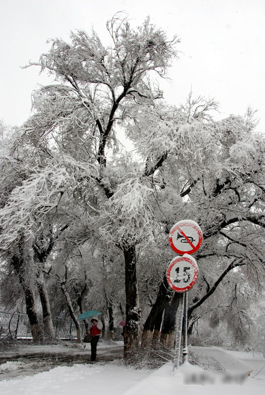 雪景 摄影 ...YOU