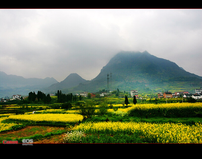 山间春色 摄影 yatt