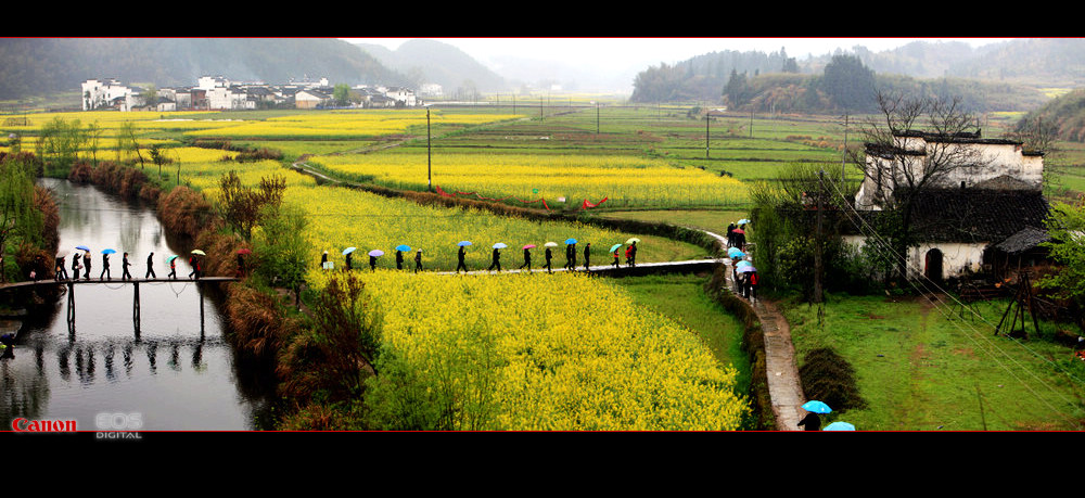 走进乡村 摄影 蜂影