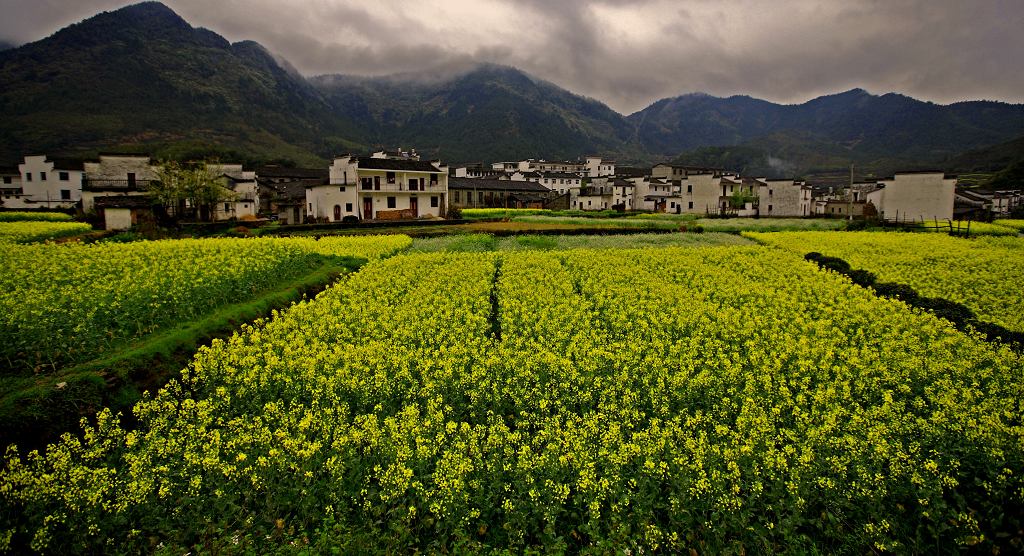 烟雨三月看婺源 摄影 今日1115