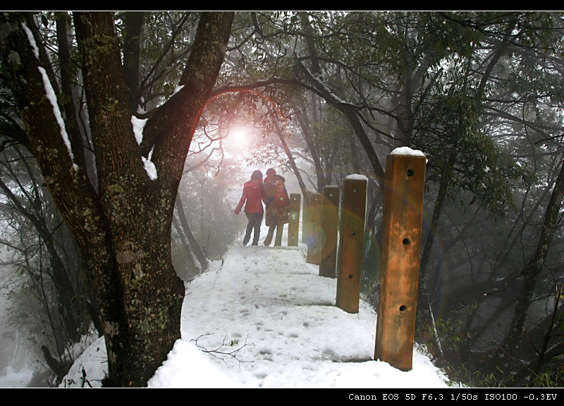 清明时节雪纷纷 摄影 沙丘