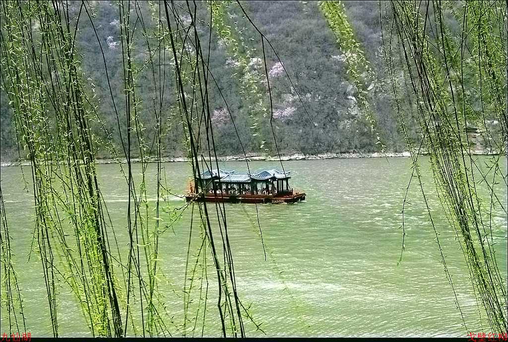 山西风光 摄影 戈壁红柳