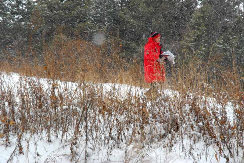 春天的雪 摄影 喜来乐