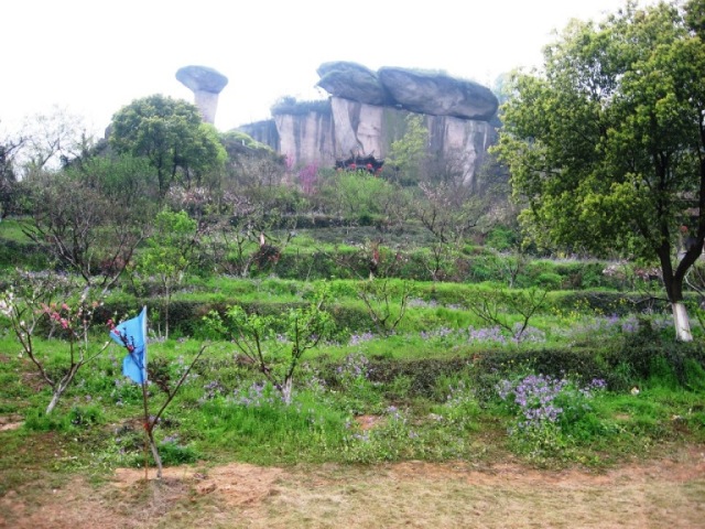 吼山美景 摄影 老俞