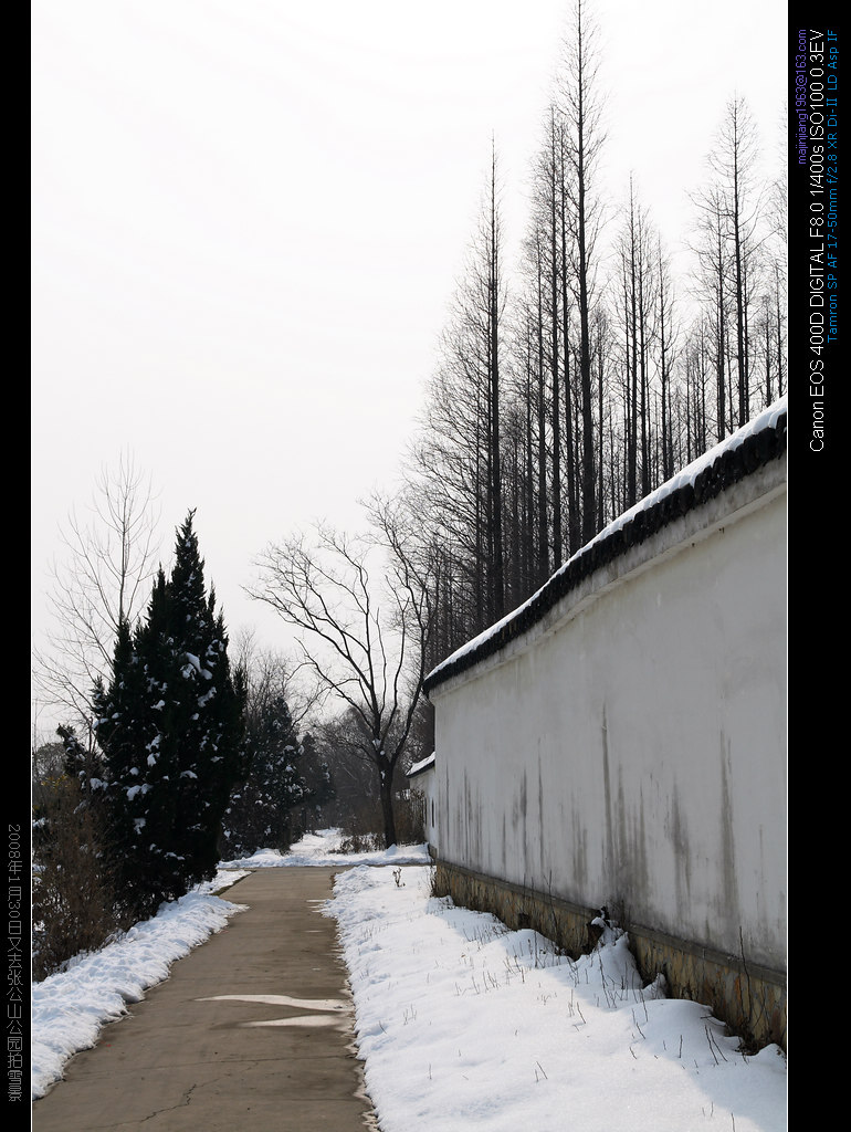 又去张公山公园拍雪景（14） 摄影 马晋江