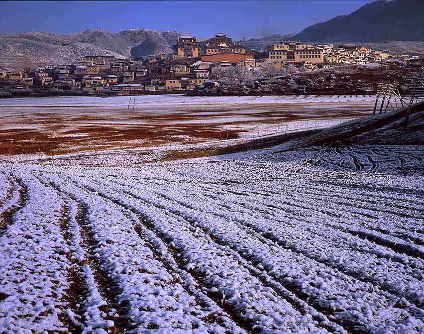 瑞雪与佛寺 摄影 藏老刁