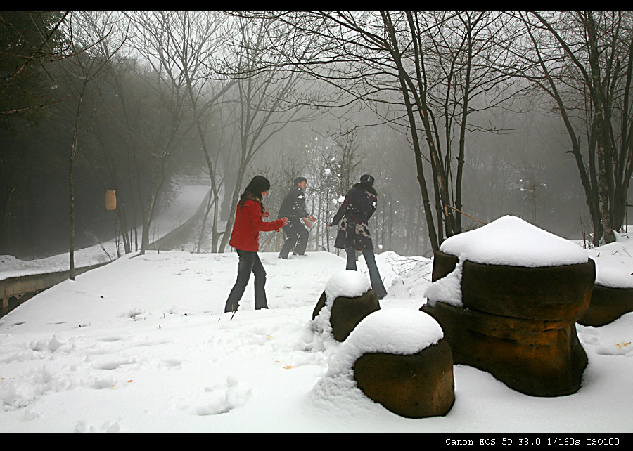 雪趣 摄影 沙丘