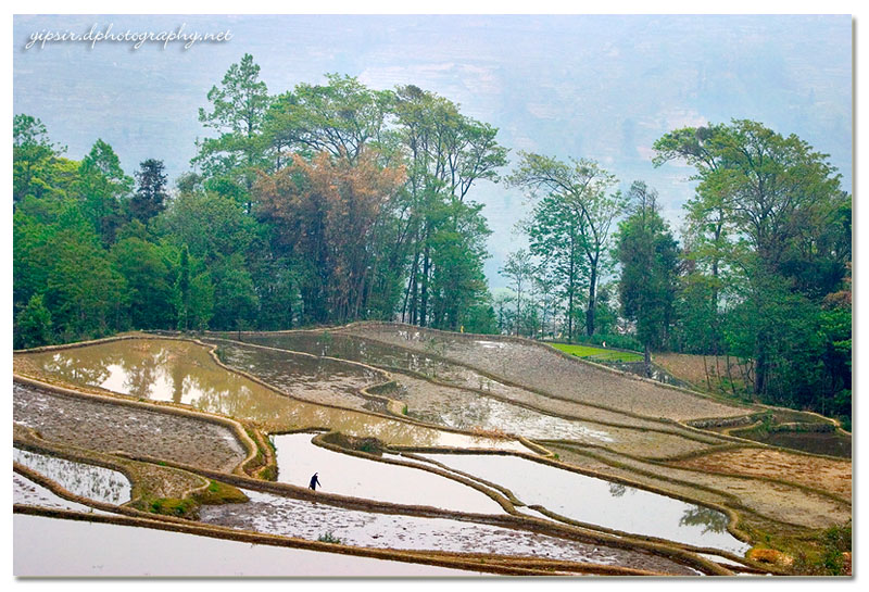 田园小景 摄影 yipsir