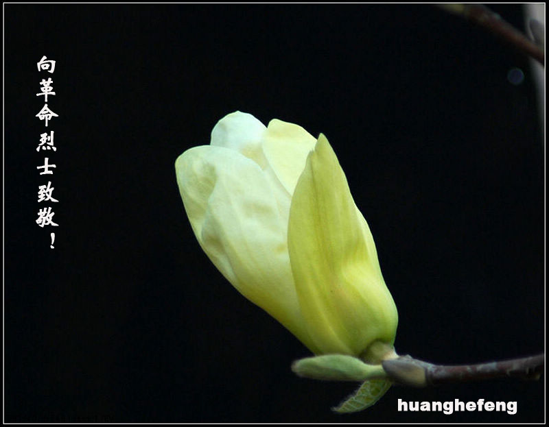 【原创】清明祭 摄影 HUANGHEFENG