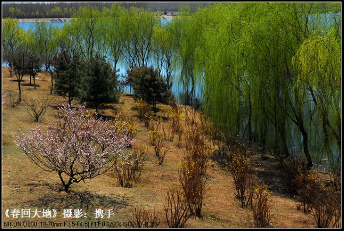 春回大地 摄影 携手