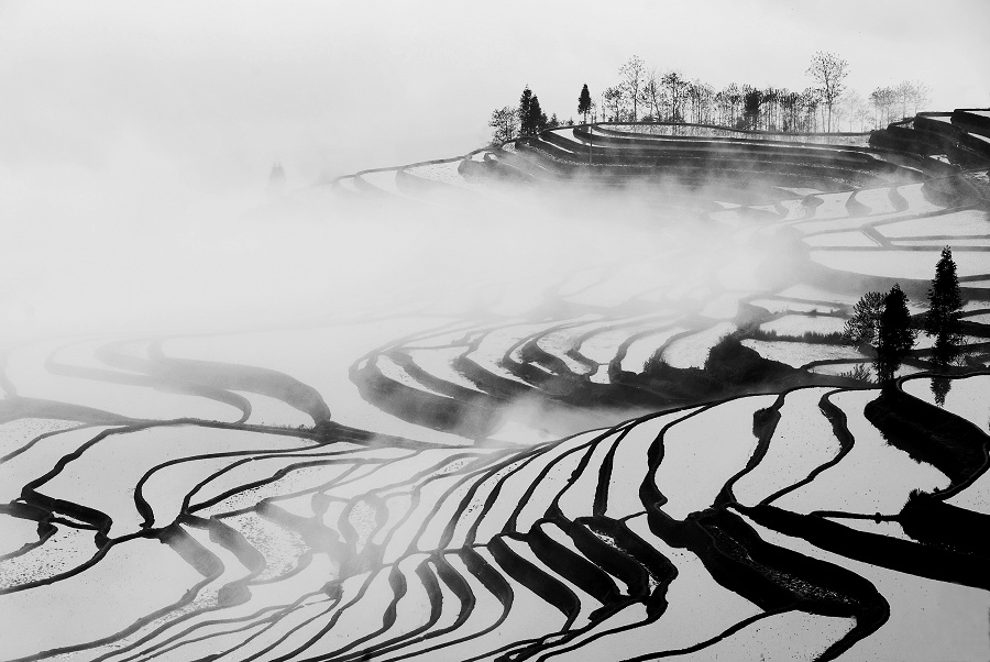 田韵 摄影 山枣