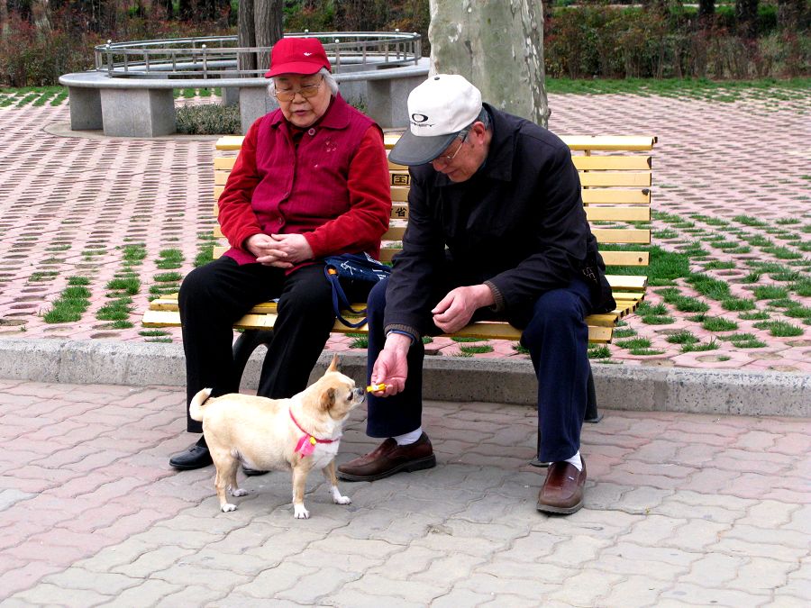 闲情逸致 摄影 明月_入怀