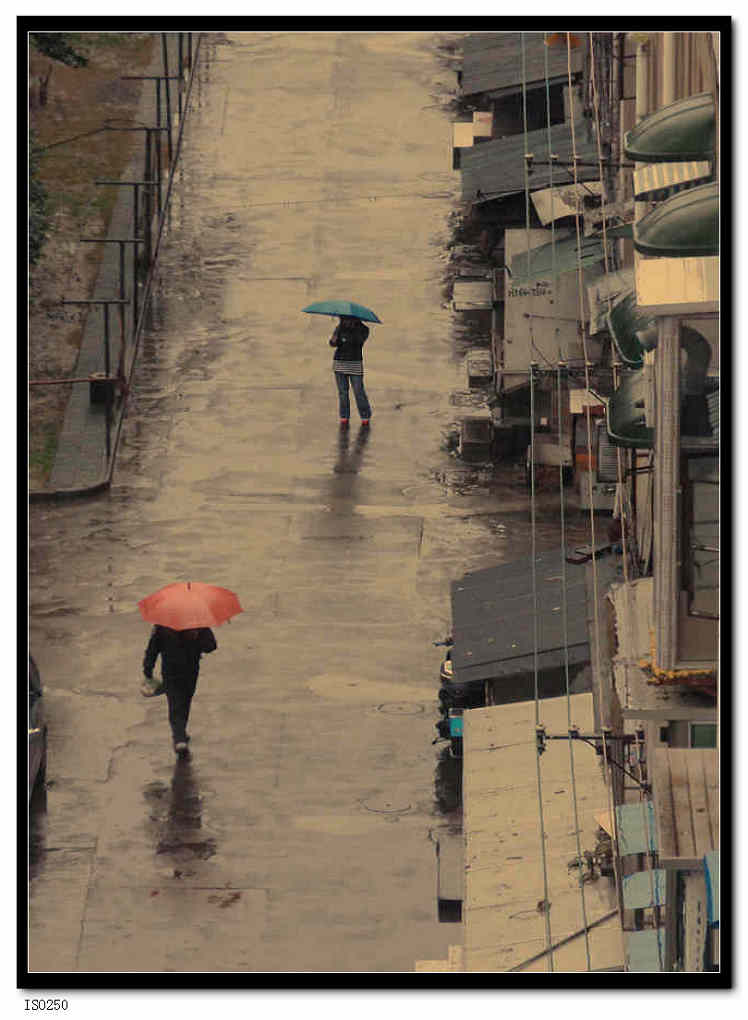 雨中小巷 摄影 你别无选择