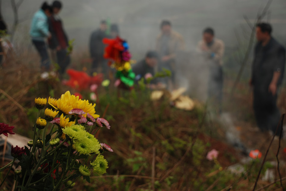 清明祭扫 摄影 一片红叶