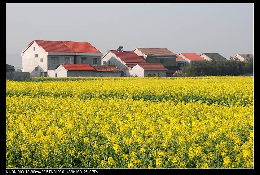 乡村即景 摄影 橡树小屋