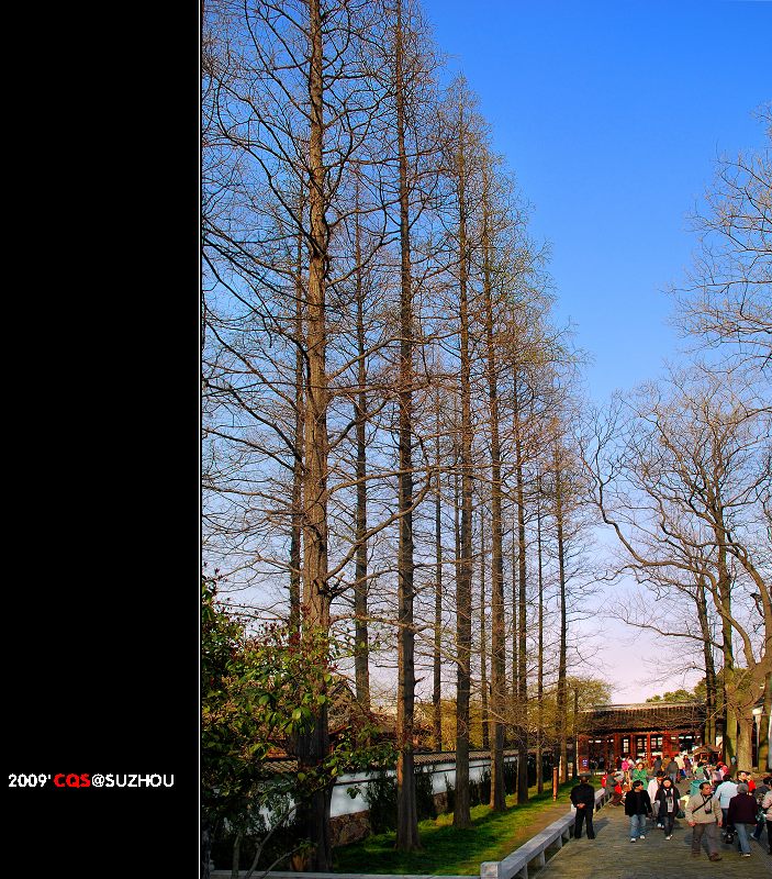 锡惠园景 摄影 陈松