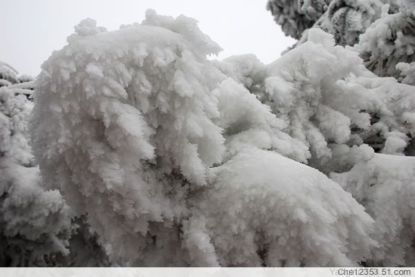 漂亮的雪景 摄影 小冬瓜