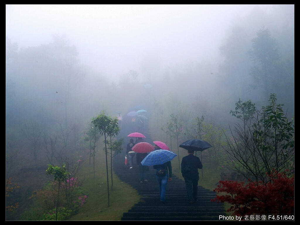 雨雾登山 摄影 闽南戏子