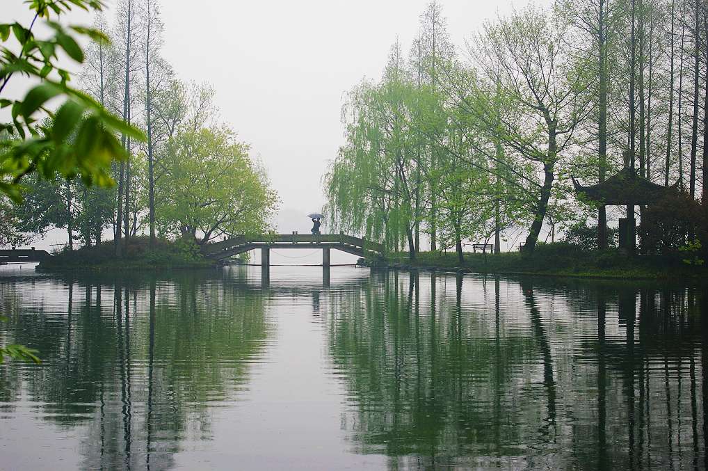 春雨中...... 摄影 小桥流水63