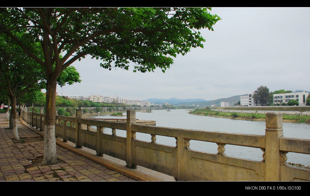 春到乡村(11) 摄影 文兄