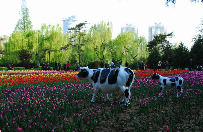 母子观花 摄影 tielong