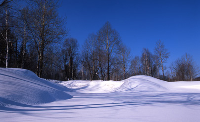 雪的意境 摄影 八声甘州