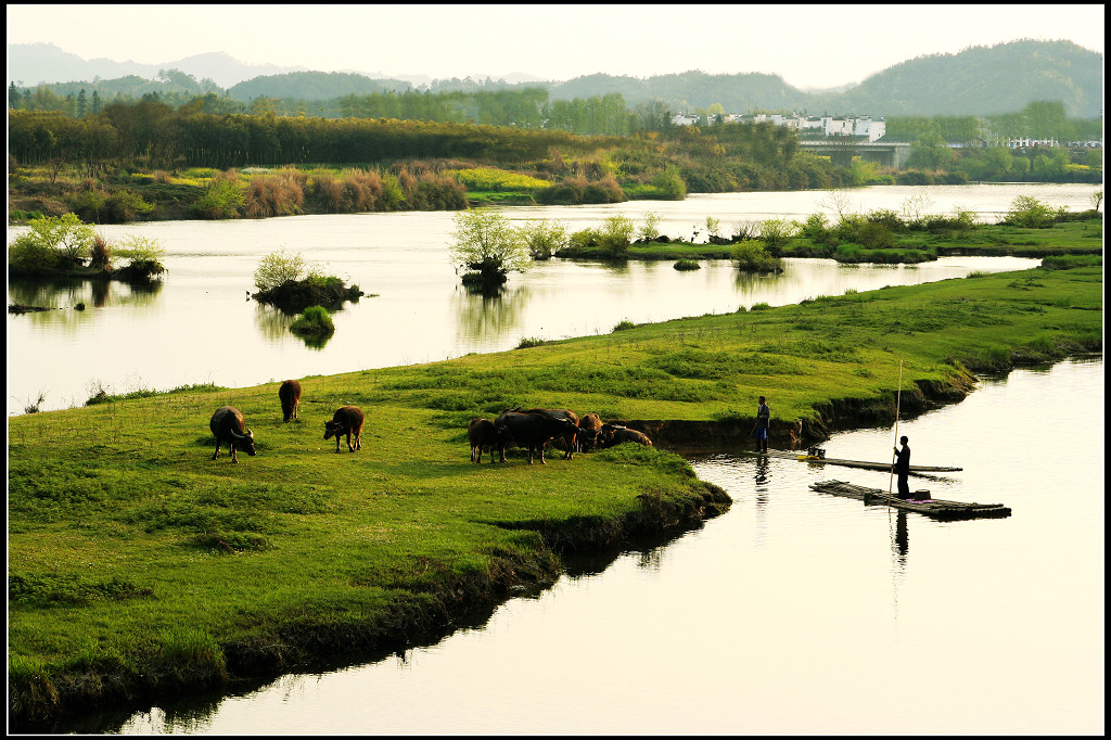 牧归 摄影 wanxianshan