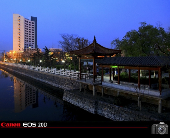 微园夜景 摄影 南山又一村