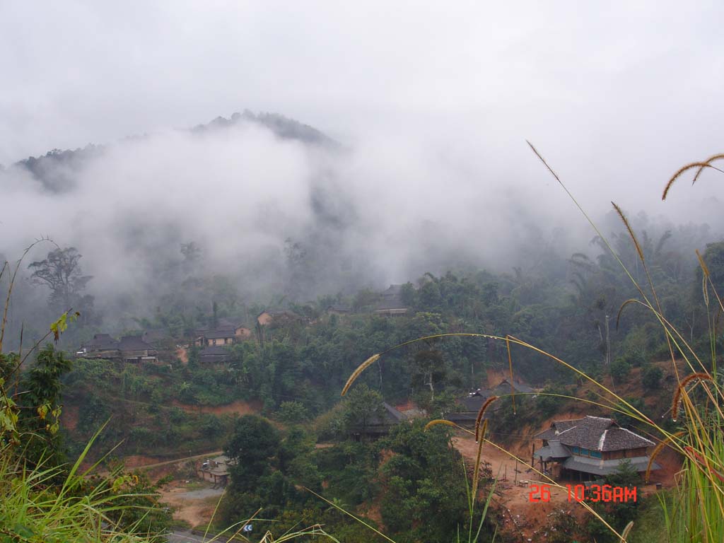 大山里 摄影 每文