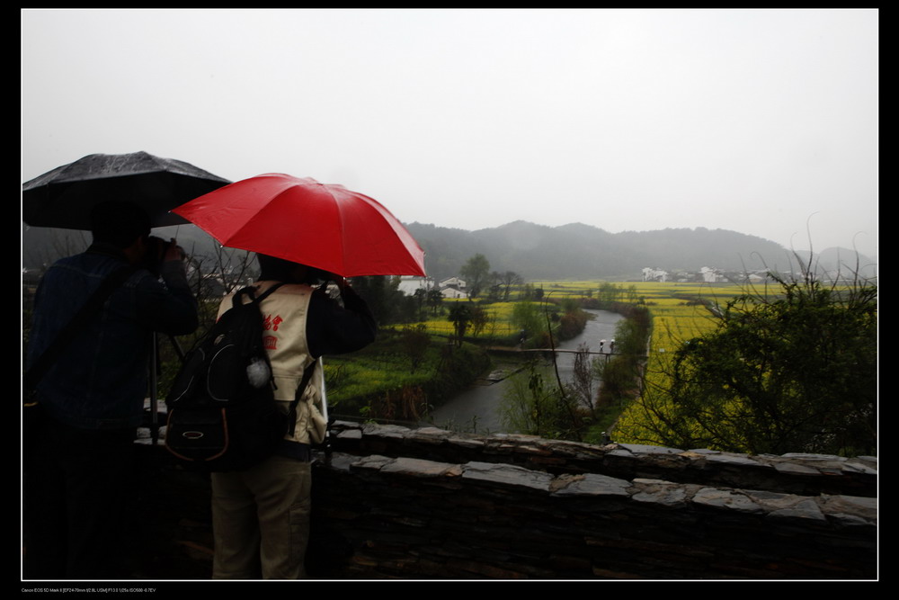 在雨中 摄影 雾里看花