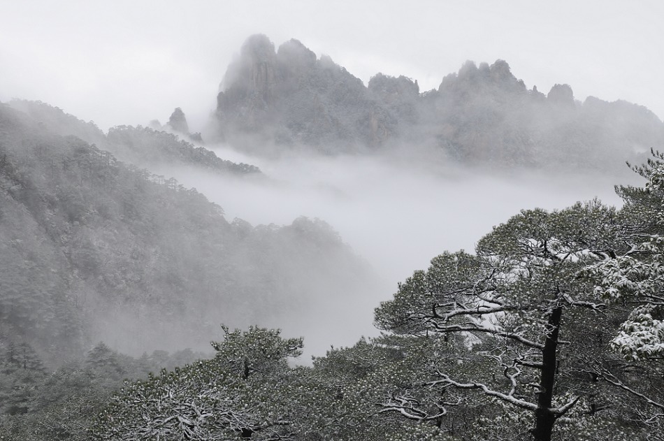 黄山云海 摄影 xudishui