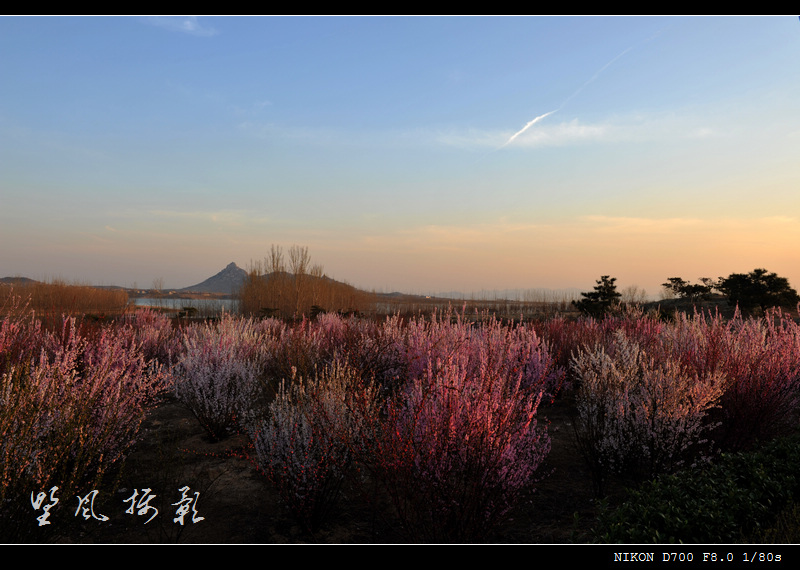 落日余辉 摄影 野_风