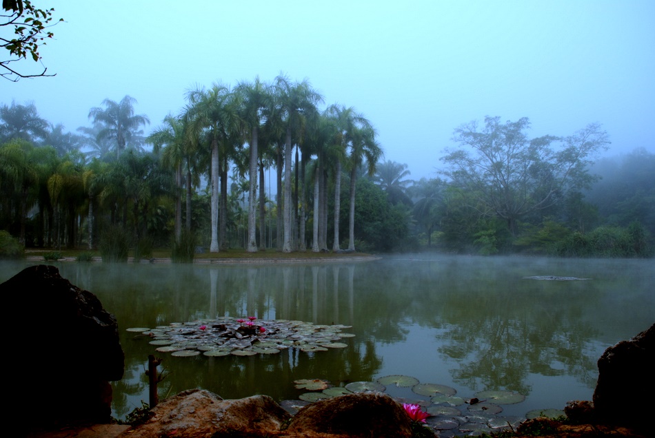 风情 摄影 彼岸的风景