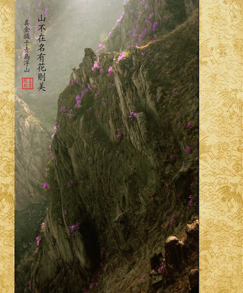 “杜鹃山” 摄影 真金