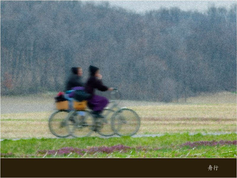 阿米什人（Amish） 摄影 舟行