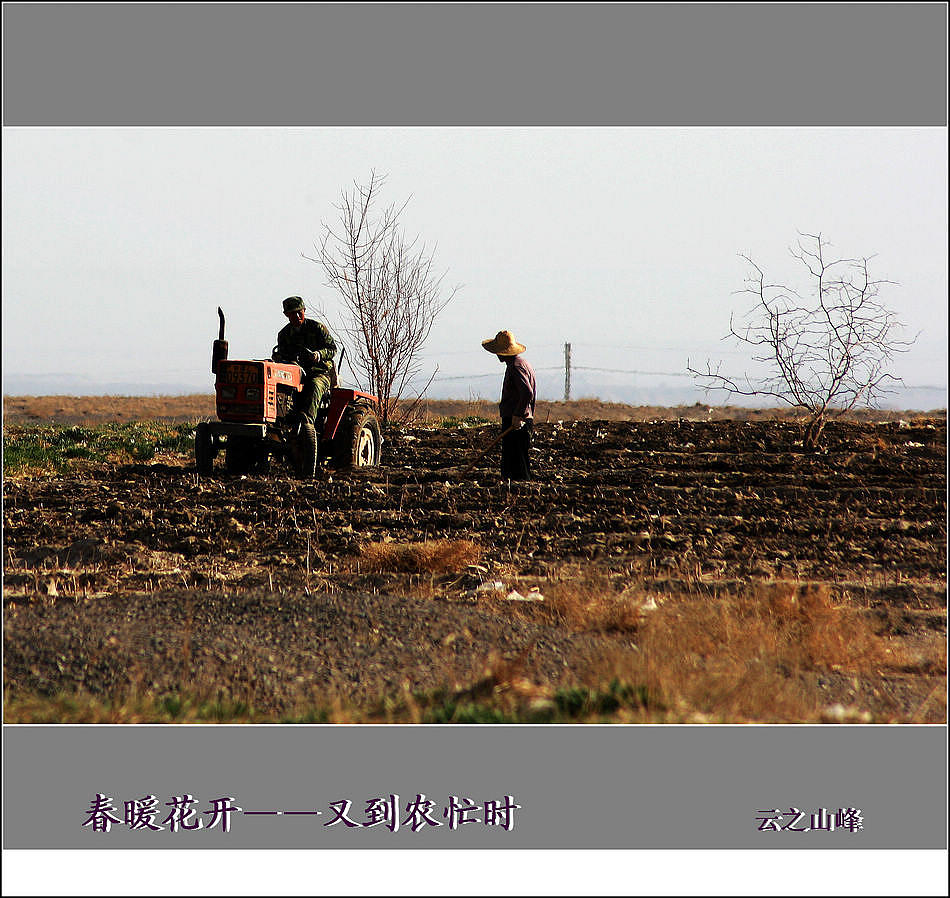 春暖花开——又到农忙时 摄影 云之山峰